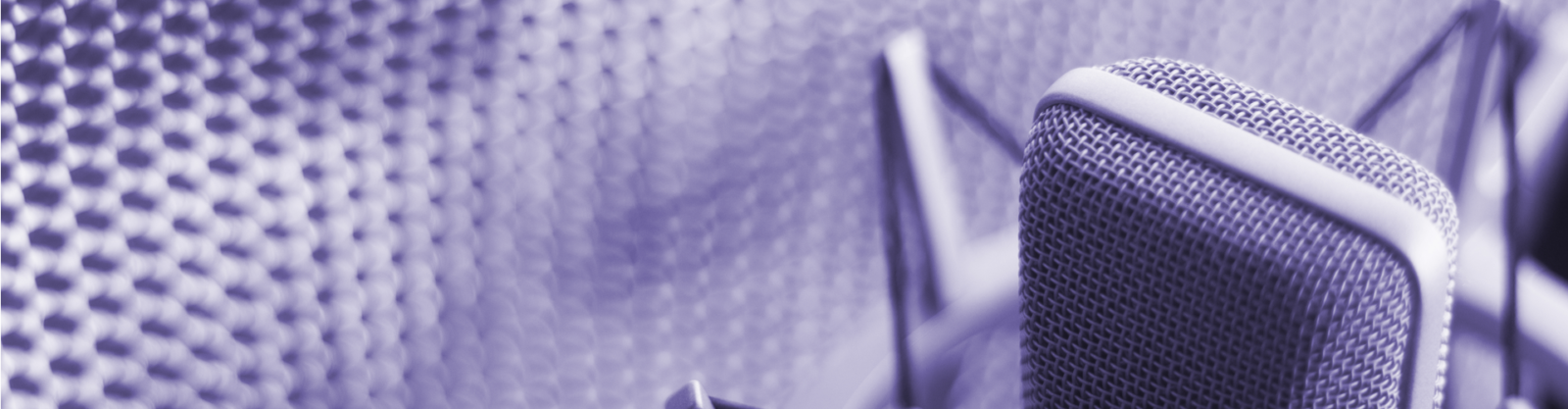 Invest in a Quality Microphone for your Voice Over Work