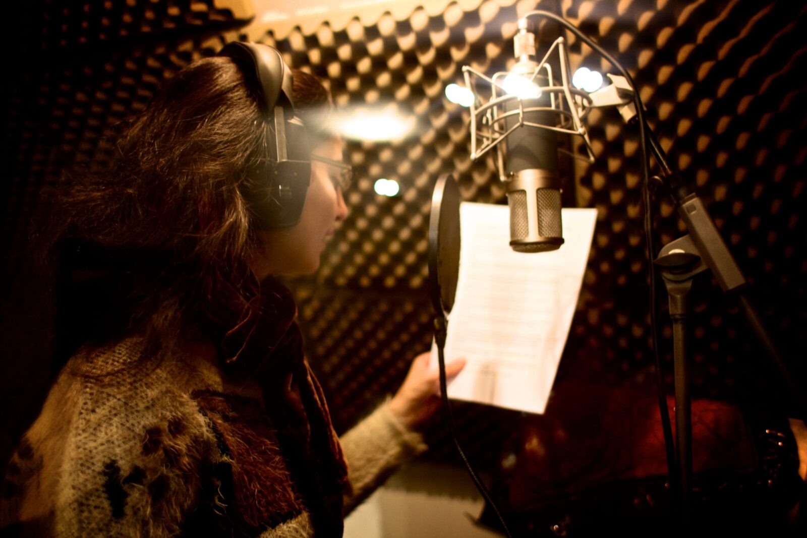 ProVoice USA